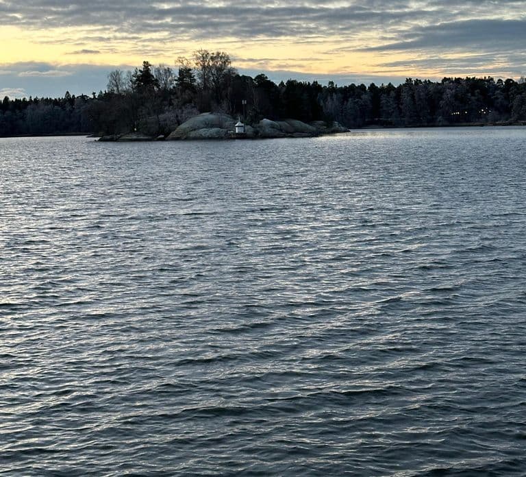 Furuvik seaside sauna: Sauna and Cold Plunge Experience