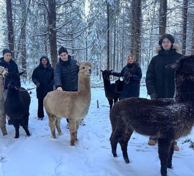 Helsinki: Alpaca Farm Tour met begeleide wandeling (privé)