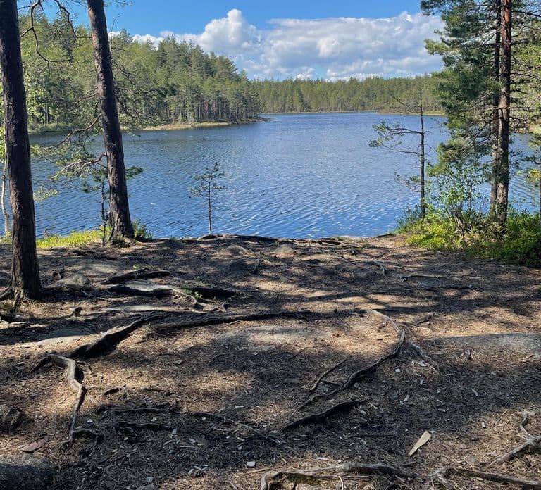 Helsinki: Nuuksio National park hiking with campfire lunch