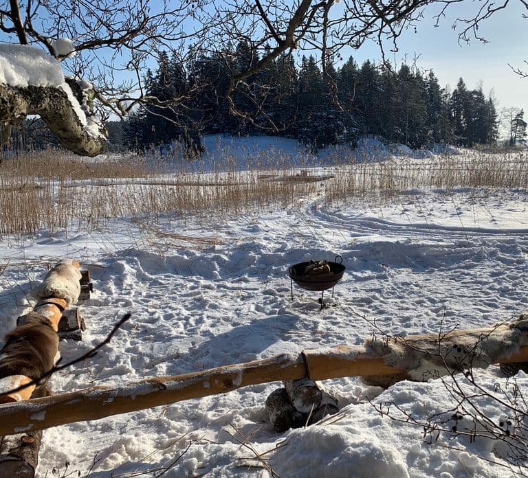 Helsinki: Passeio de Snowmobile com Almoço e Traslados