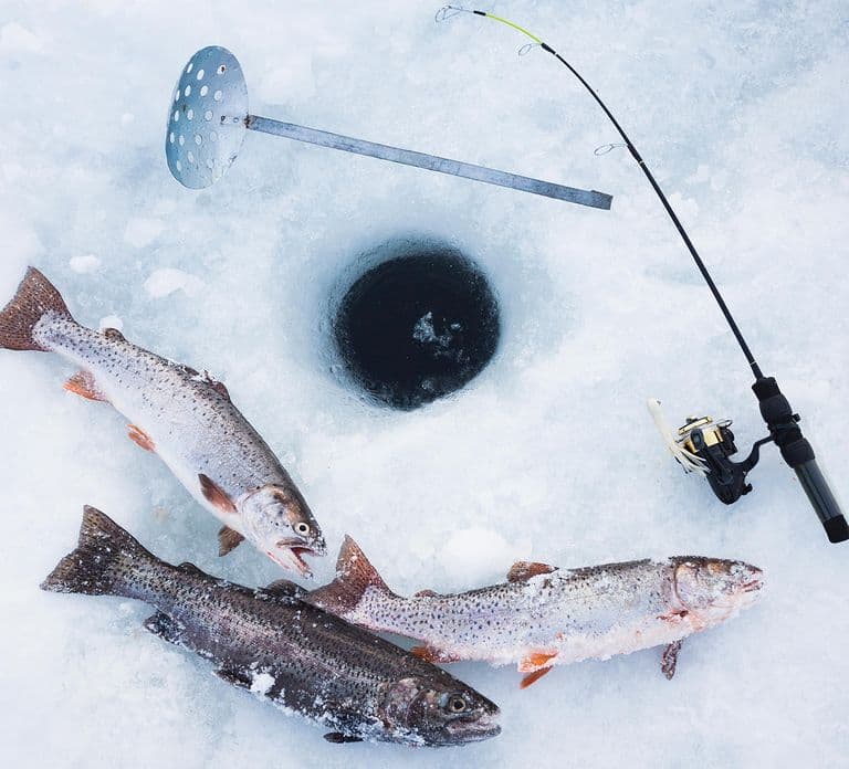 ICE FISHING experience