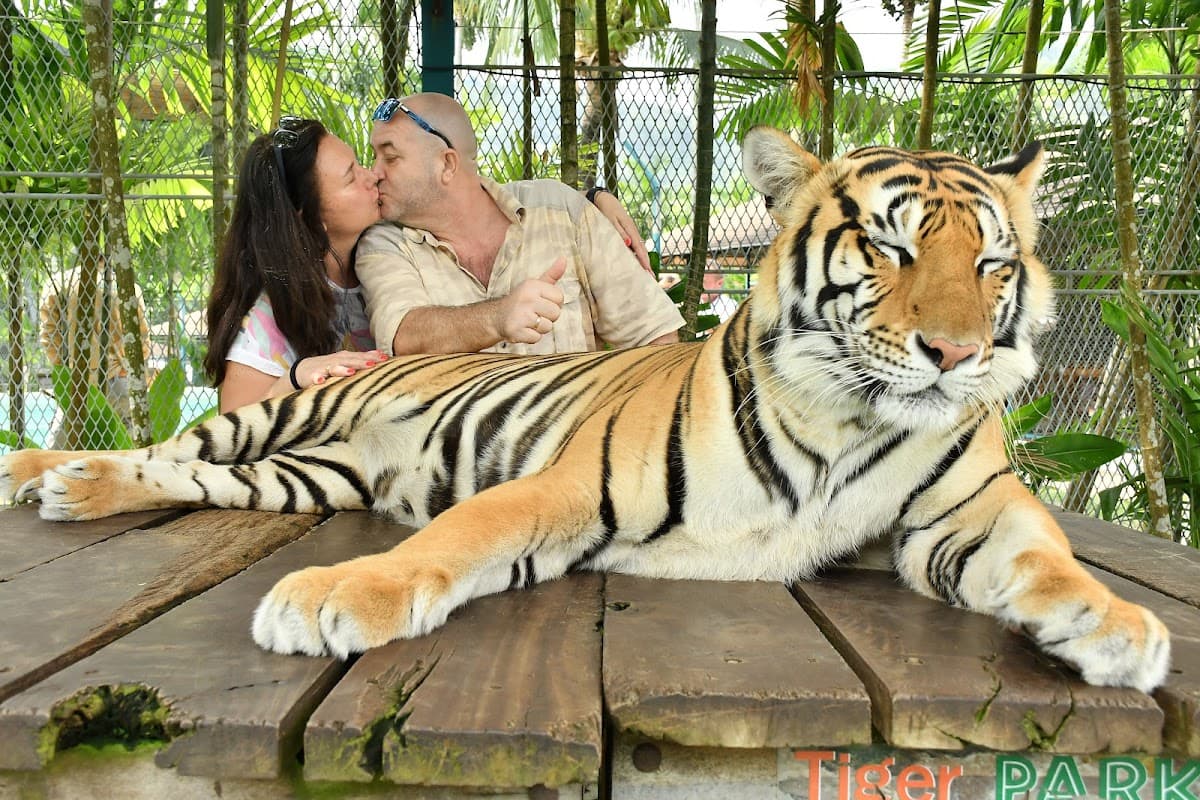 Tiger Park Big Buddha Phuket