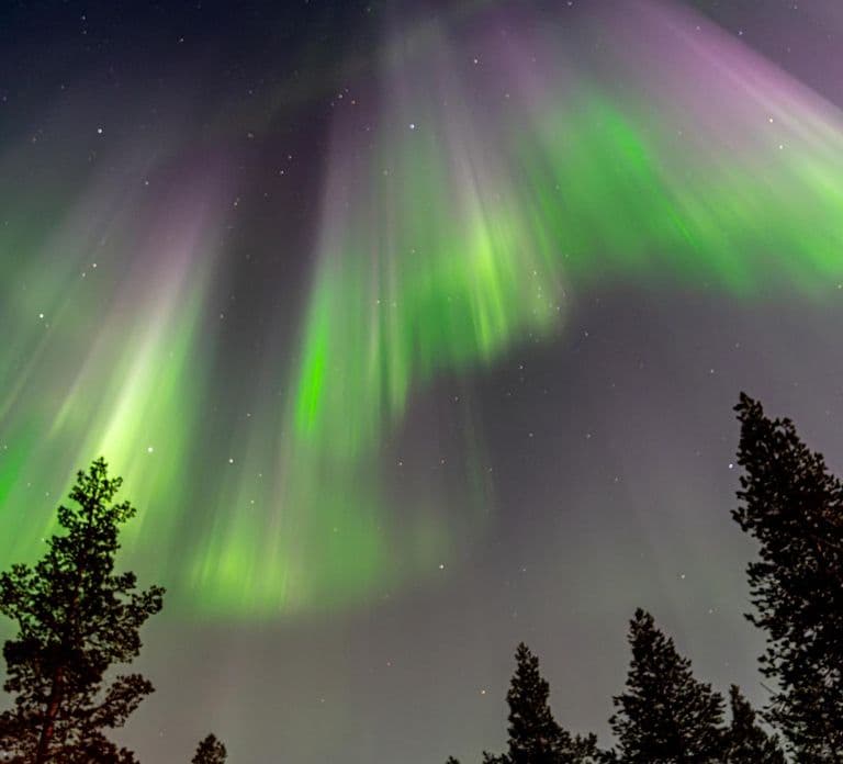 Inari: Aurora Workshop