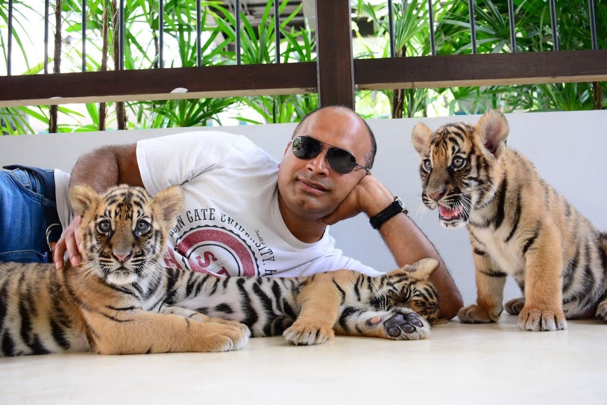 Tiger Park Pattaya