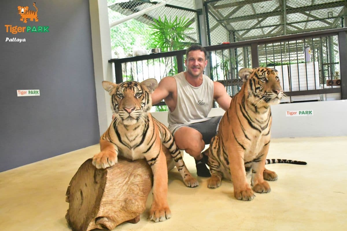 Tiger Park Pattaya