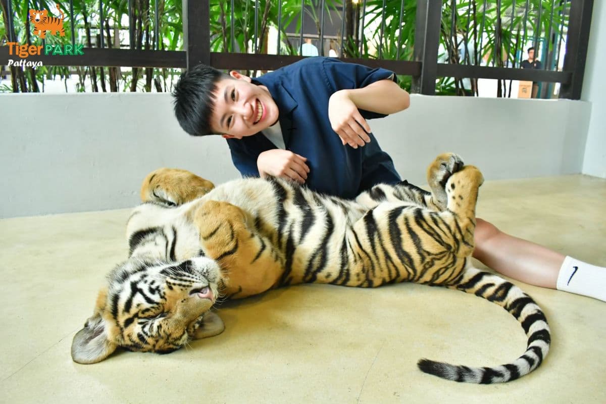 Tiger Park Pattaya