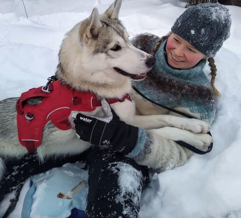 Ivalo: Aurora Hunting with Huskies