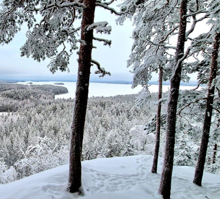 Jyvaskyla: Ijsvissen met een Finse gids