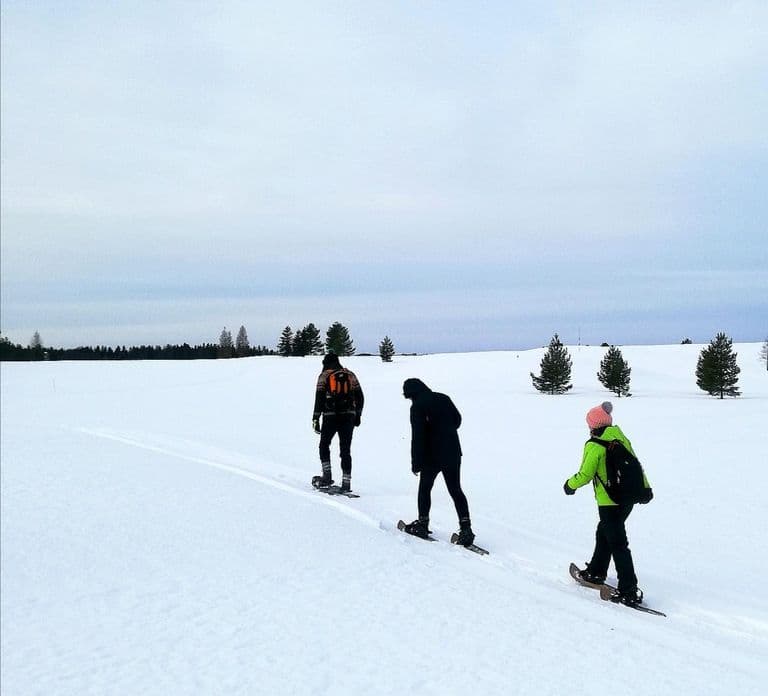 Jyvaskyla: Snowshoeing Tour with Campfire Snack