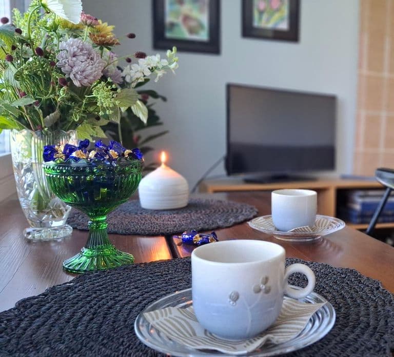 Kalajoki: A Day with a Local - Life at the Arctic coast