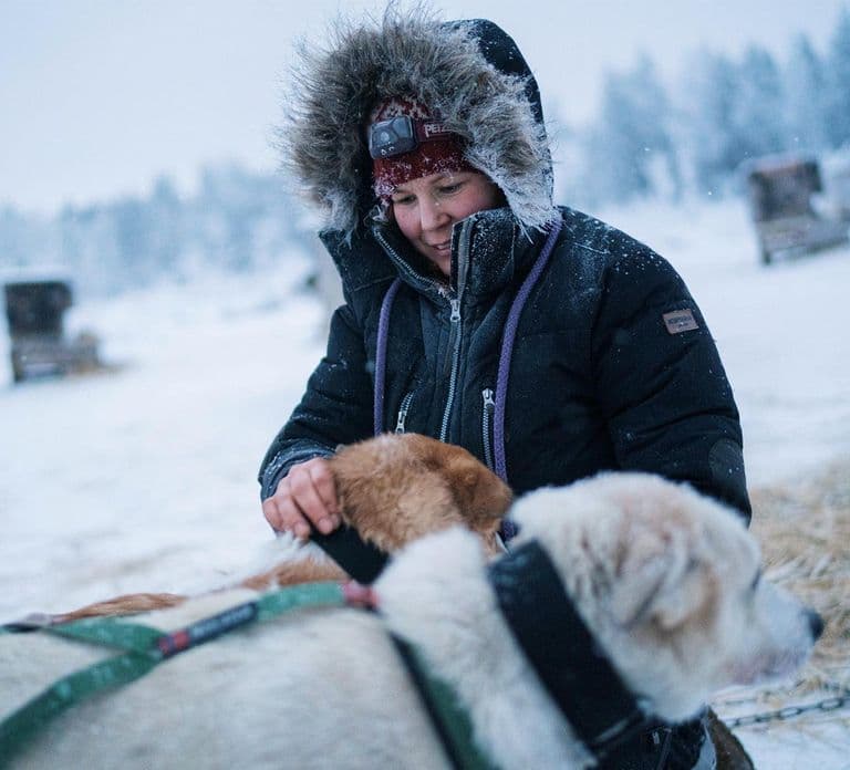 Kemi-Tornio: Husky-sleedetocht met warm drankje