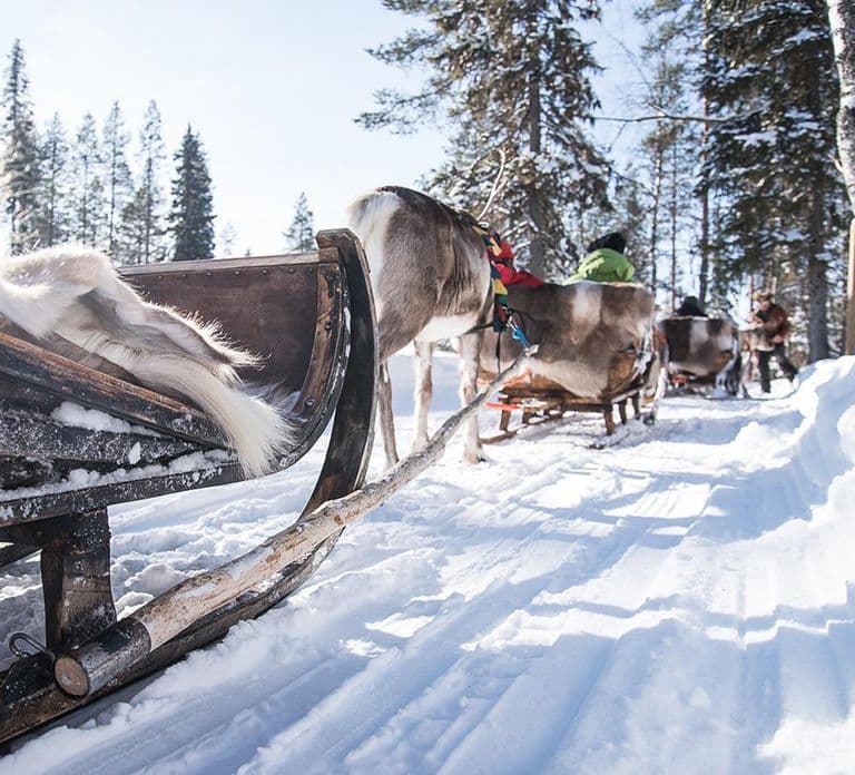 Kuusamo: Reindeer Sleigh Ride and Farm Visit