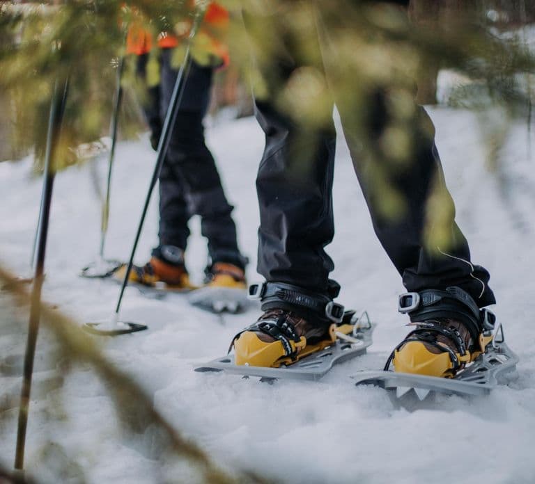 Lahti begeleide sneeuwschoenwandeltocht