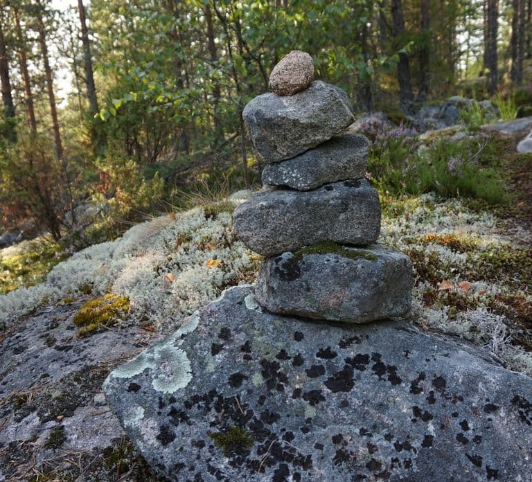 Lahti: Guided Nature Walk The Heart of The Swamp