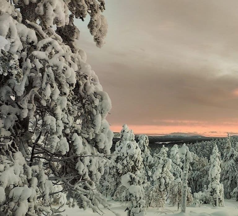 Lapland: Private Snowmobile Safari with arctic Local Guide