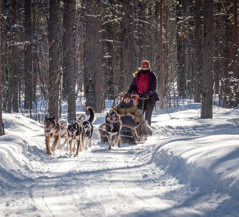 Levi: Arctic Combo – Husky & Reindeer Ride