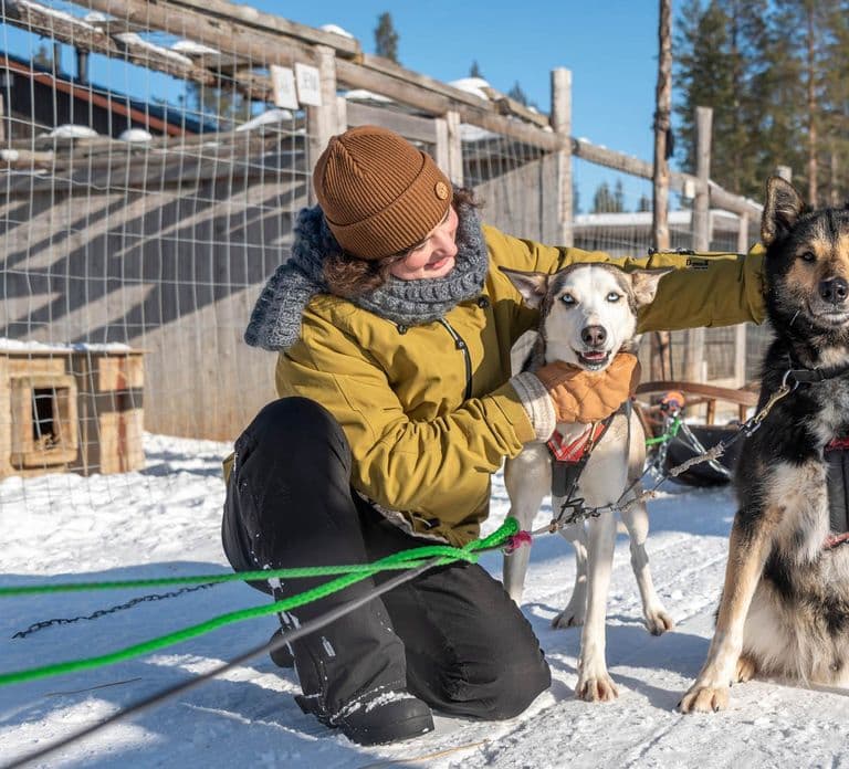 Levi: Arctic Combo – Husky & Reindeer Ride