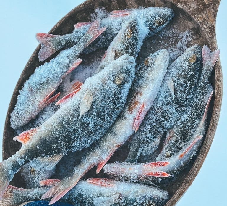 Levi: Arctic Ice-Fishing Experience