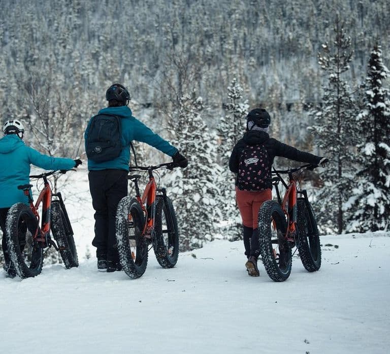 Levi: Aventura en E-Fatbike por el bosque nevado