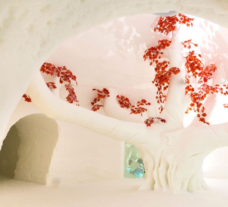 Levi: Guided Trip to Lainio SnowVillage