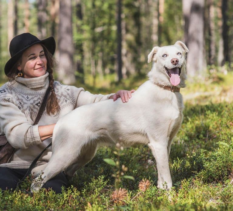 Levi: Visita a una granja de caballos y huskies con zumo y galletas