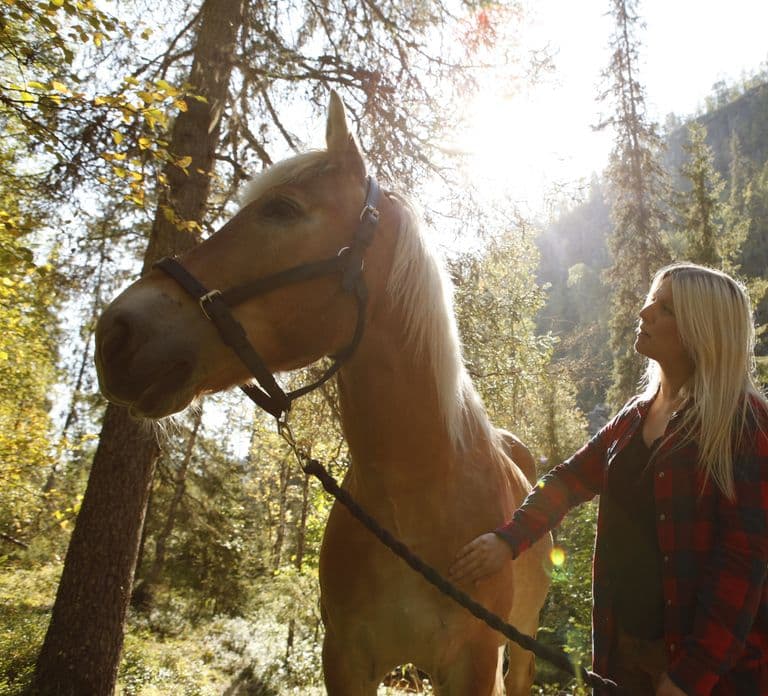Levi: Equitazione nella foresta finlandese