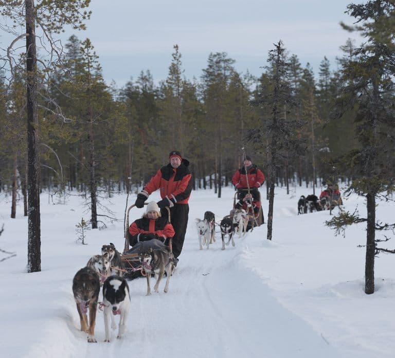 Levi: Husky Adventure Self-Drive Safari 15km