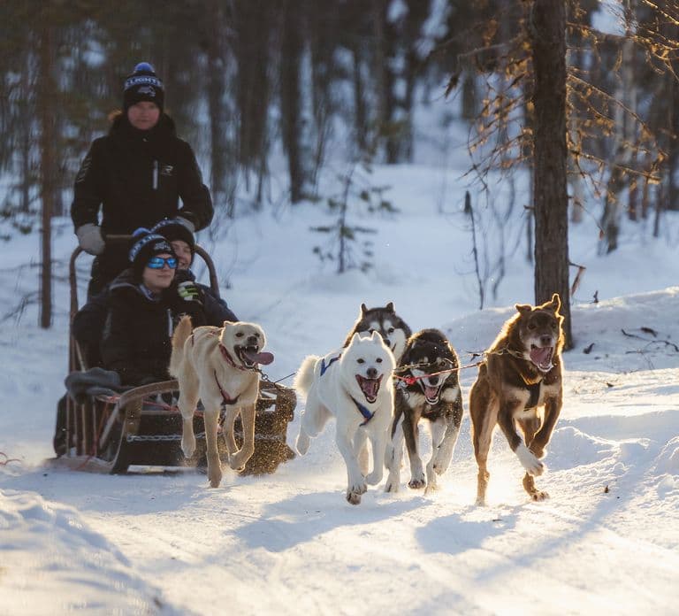 Levi: Husky Adventure Self-Drive Safari 15km