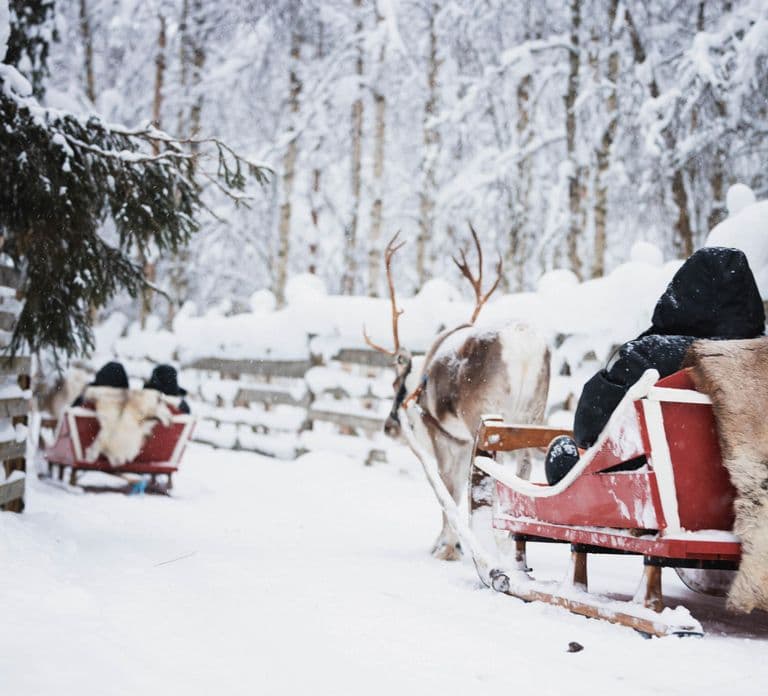 Levi: Visita a fazenda de huskies e renas com passeio de snowmobile