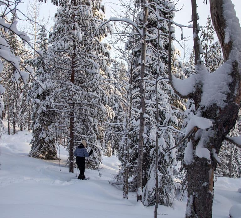 Levi: Raquetas de nieve en el bosque junto al lago