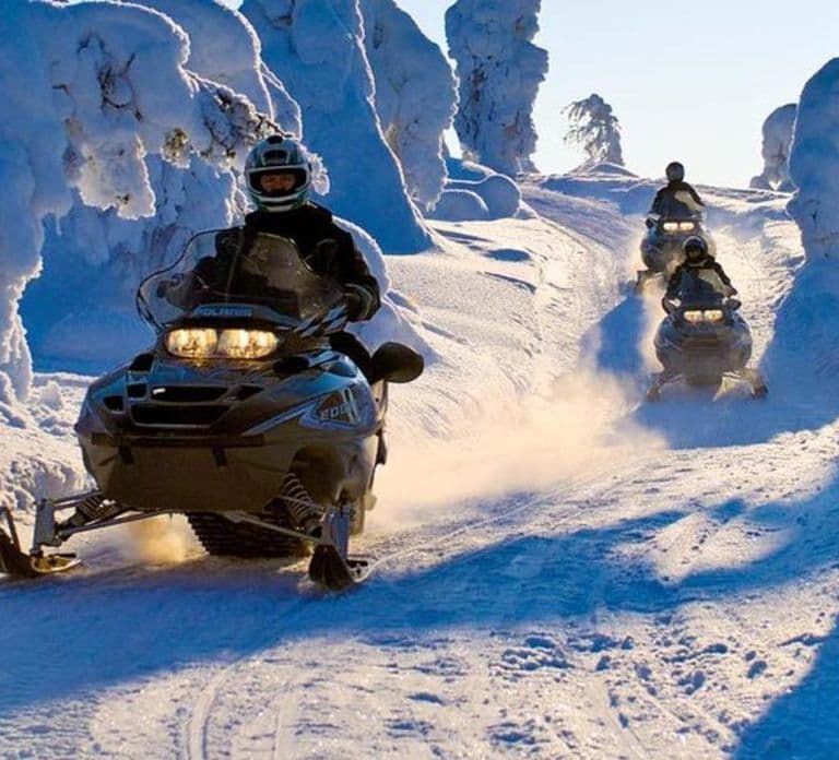 Levi: Familien-Schneemobil-Safari in Lappland