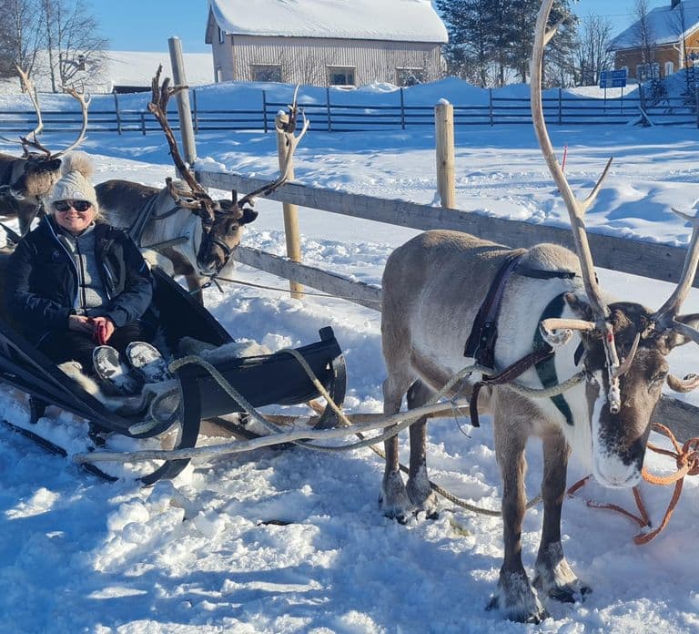Levi: Lappish Reindeer Sled Ride 3 km