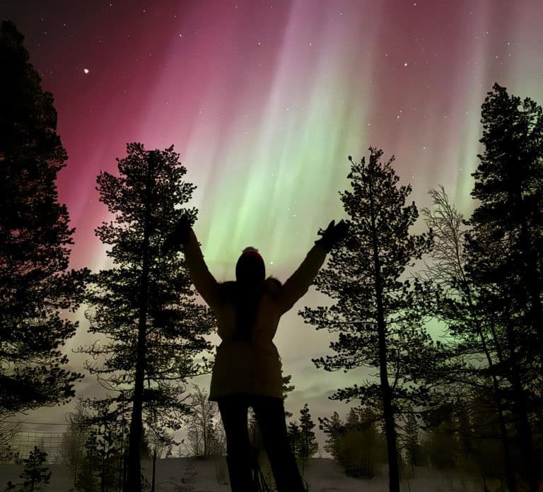 Levi: Northern Lights Adventure in the Wild, Campfire Treats