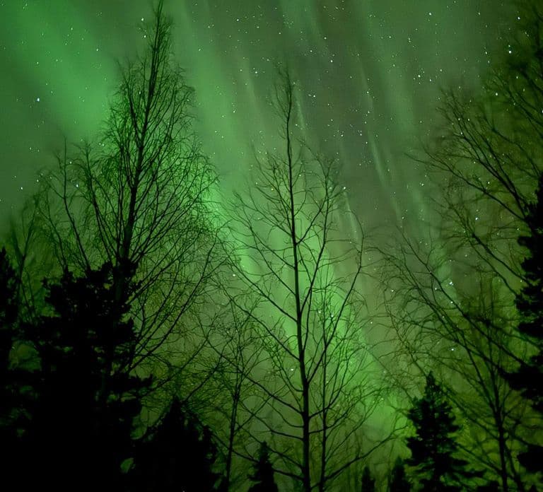 Levi: Northern Lights Adventure in the Wild, Campfire Treats