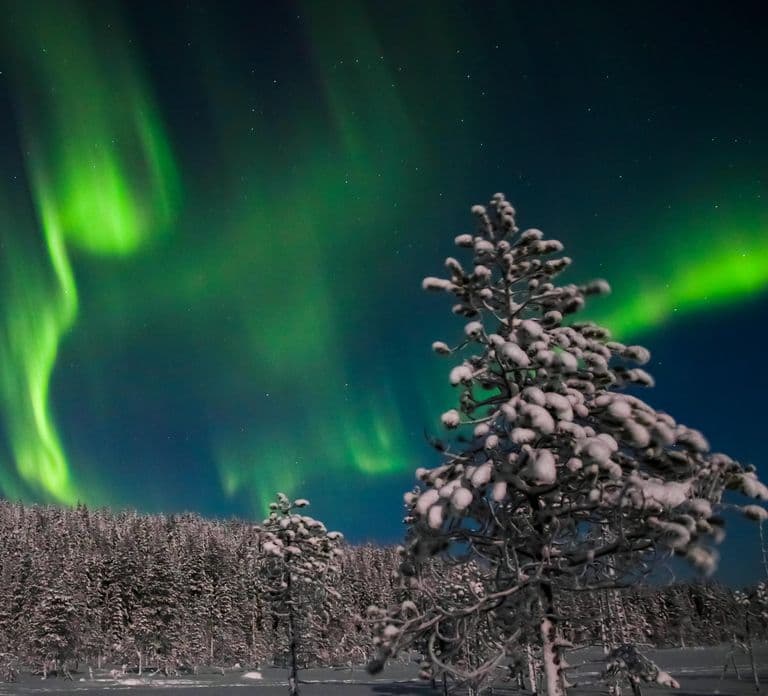 Levi: Northern Lights Hunting Photo Tour