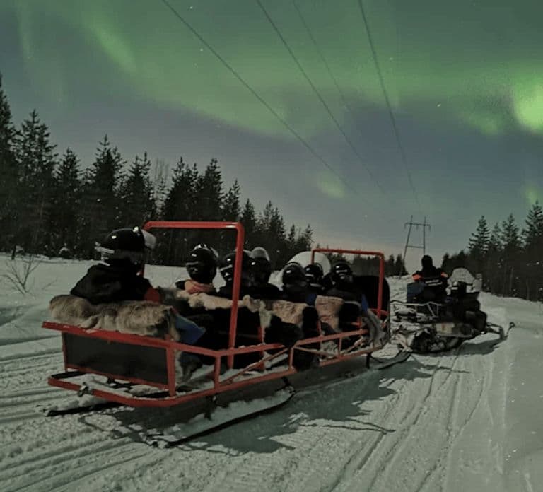 Levi: Northern Lights Sledge Ride