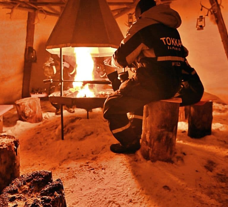 Levi: Northern Lights Snowmobile Safari