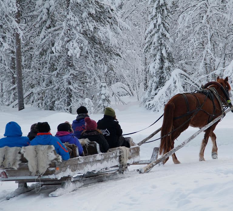 Levi : Promenade en traîneau tiré par un cheval