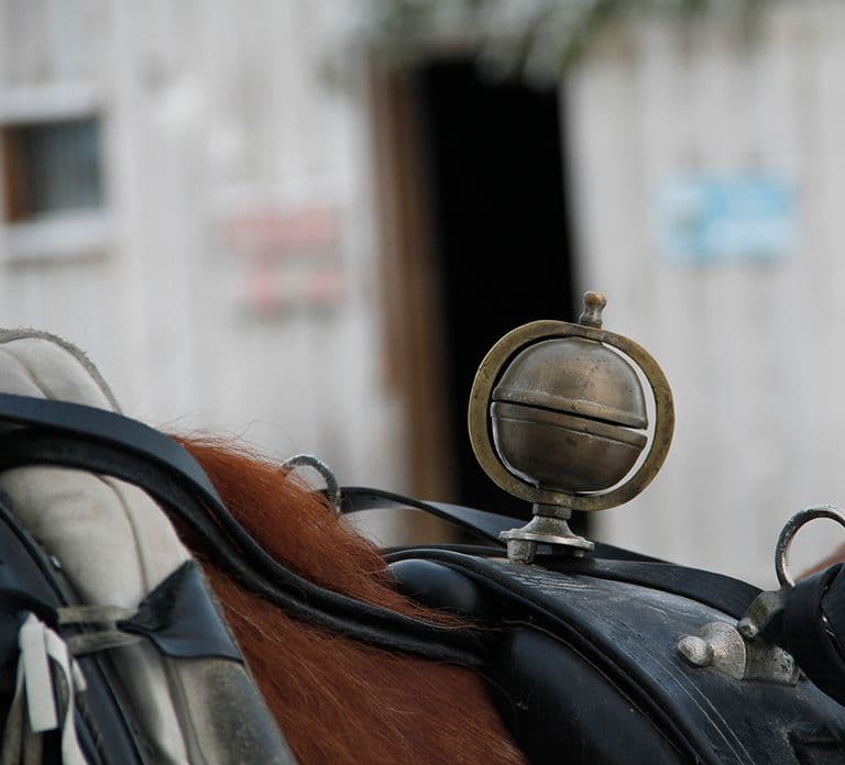 Levi : Promenade en traîneau tiré par un cheval