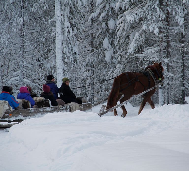 Levi : Promenade en traîneau tiré par un cheval
