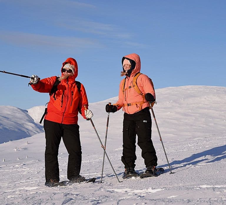 Levi: Caminhada com Raquetes de Neve Panorâmica no Topo de Levi Fell