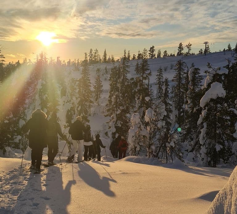Levi: Caminhada com Raquetes de Neve Panorâmica no Topo de Levi Fell