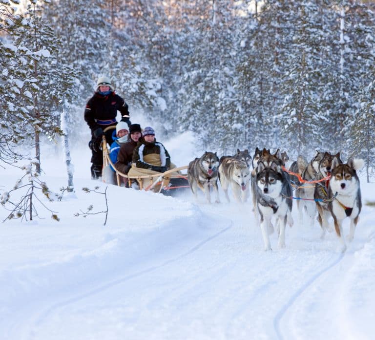 Levi: Winter Highlights Tour with Snowmobiling
