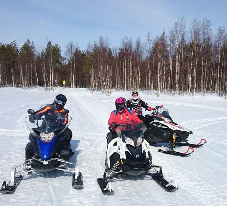 Levi: Winter Highlights Tour with Snowmobiling