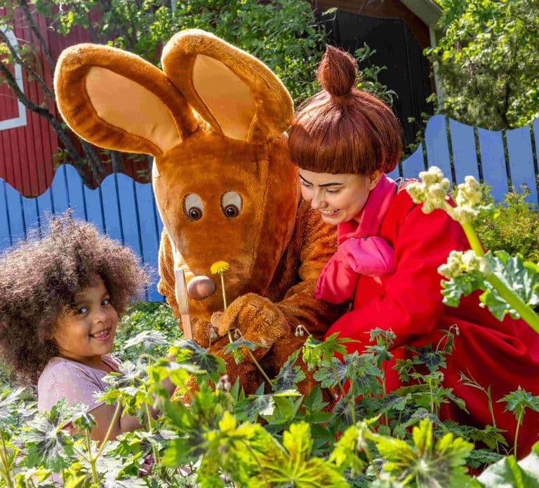 Billet pour une journée à Moominworld