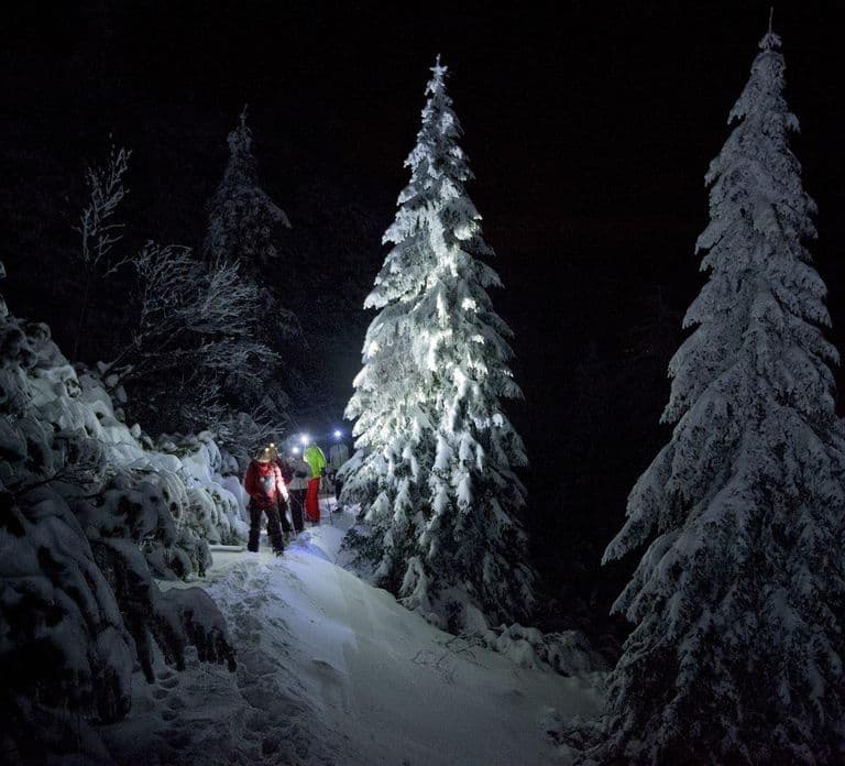 Night Snowshoeing Lapland Experience