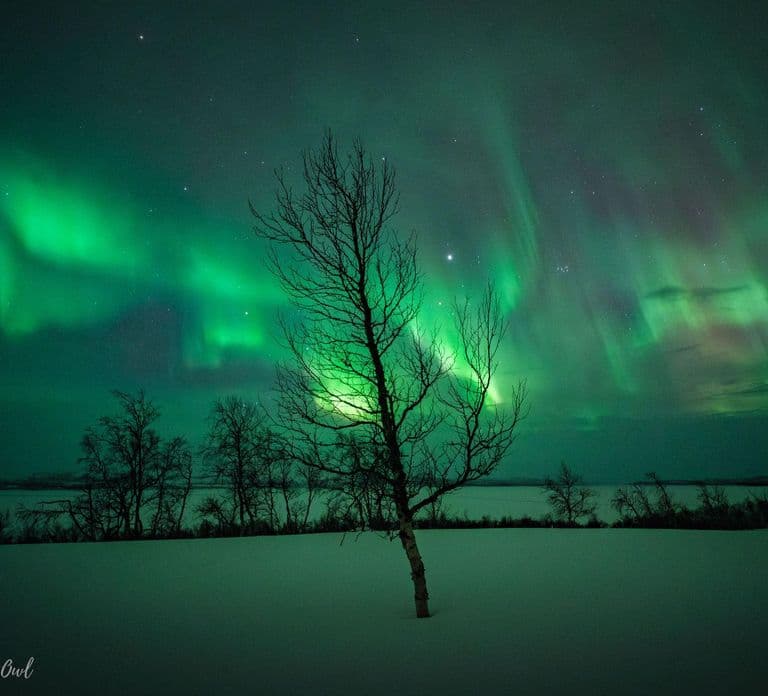Night Star Walk on Snowshoes in the Finnish Wilderness