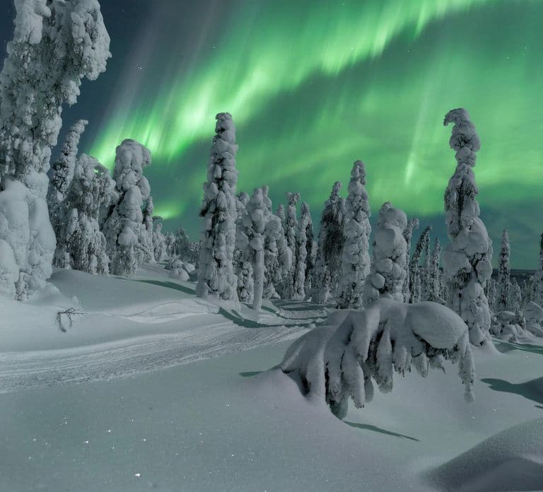 Northern Lights Hunting with Aurora Workshop