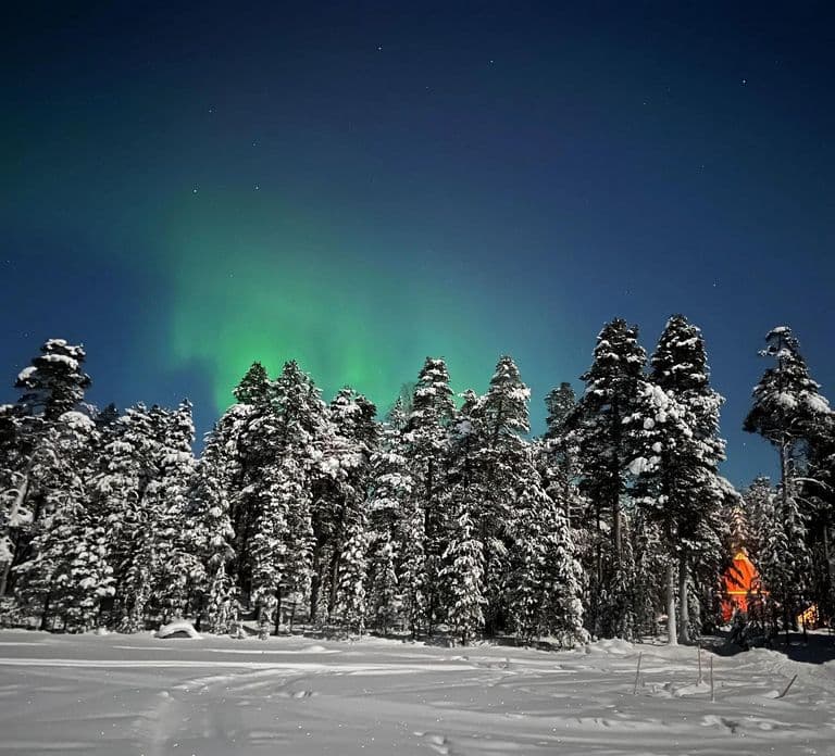 Northern Lights Hunting with Aurora Workshop