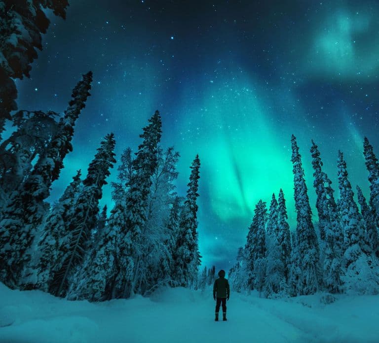 Northern Lights Hunting with Aurora Workshop